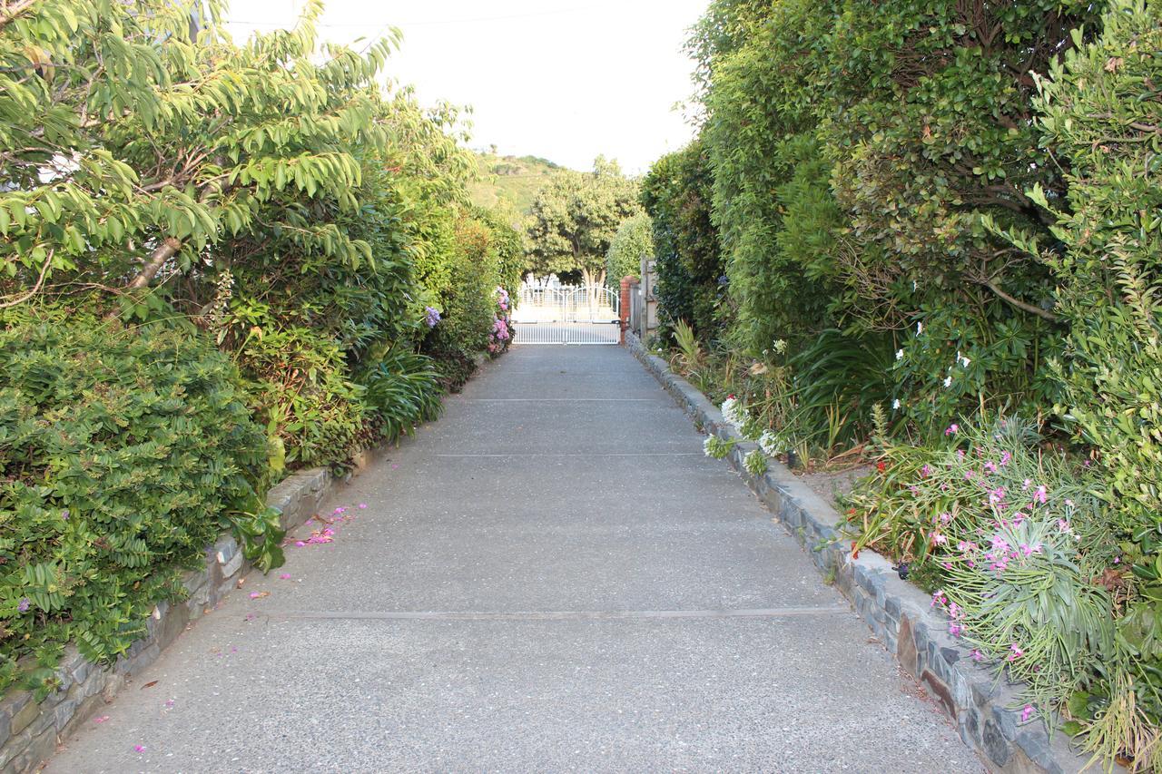Casa Felina Apartment Wellington Luaran gambar